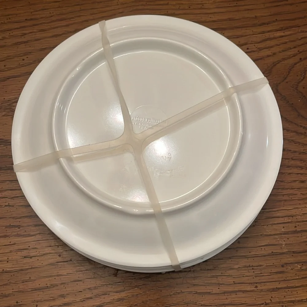 Outdoor Collection pineapple salad plates, set of 4,‎ NWT